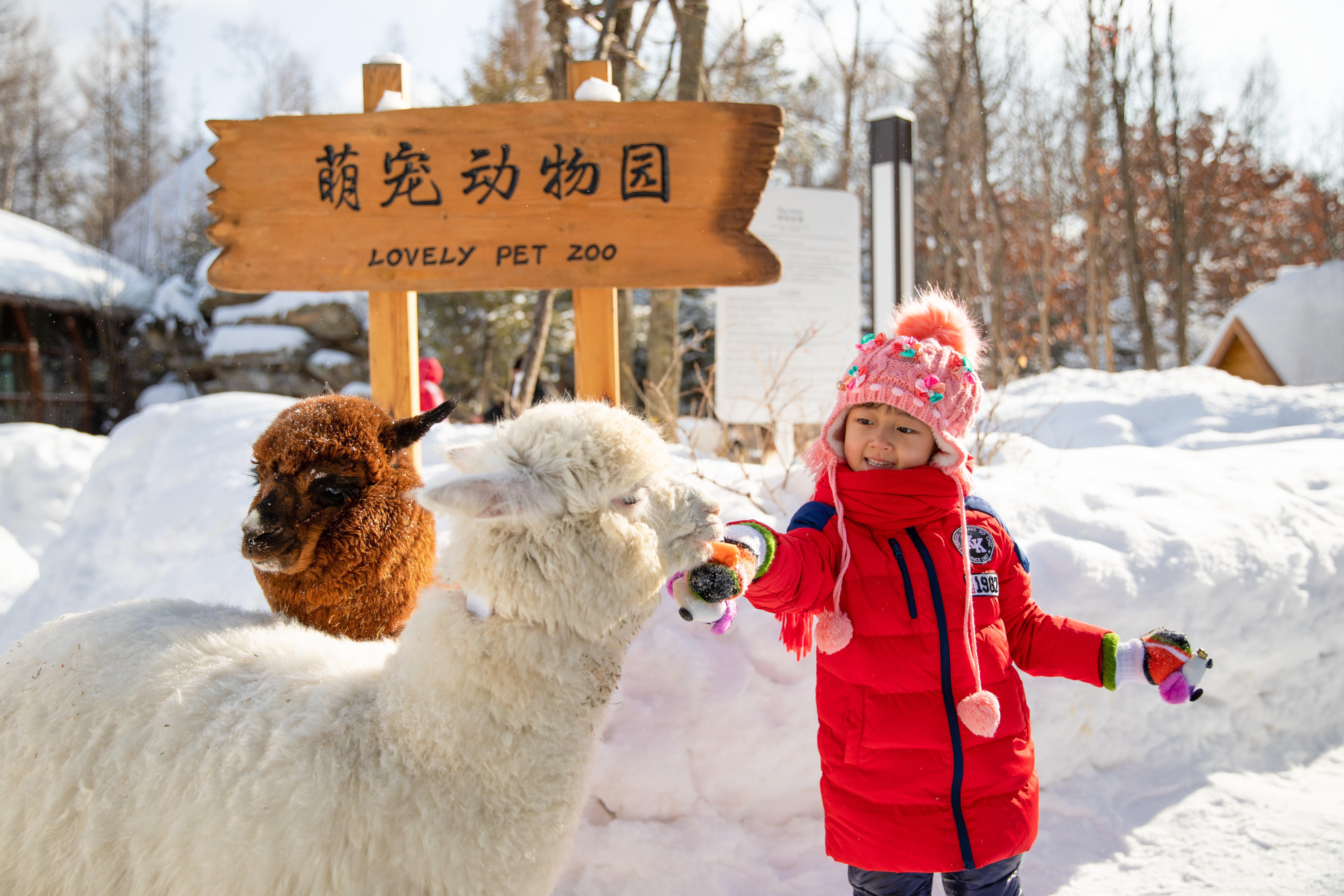 Crowne Plaza Resort Changbaishan Hot Spring, An Ihg Hotel Antu Exterior photo